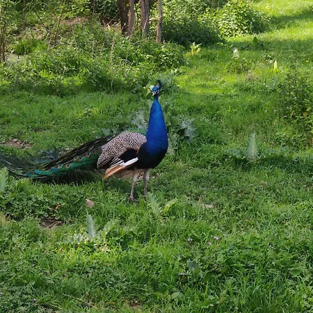Tipi Cheyenne Des Monteaux Domek alpejski Vivy