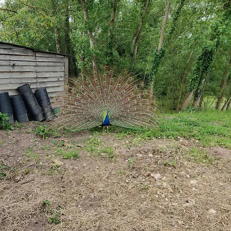Domek alpejski Tipi Cheyenne Des Monteaux Vivy