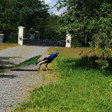 Tipi Cheyenne Des Monteaux Domek alpejski Vivy