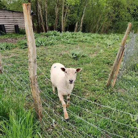 Tipi Cheyenne Des Monteaux Vivy
