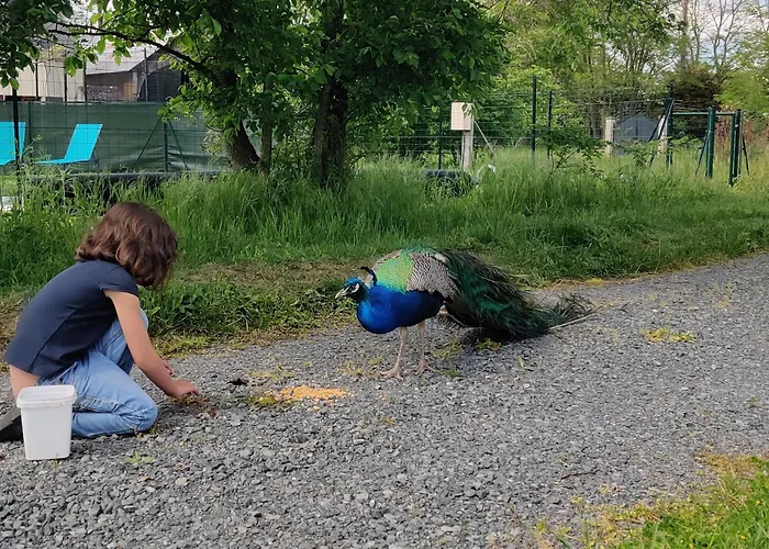 Chalé Tipi Cheyenne Des Monteaux Vivy