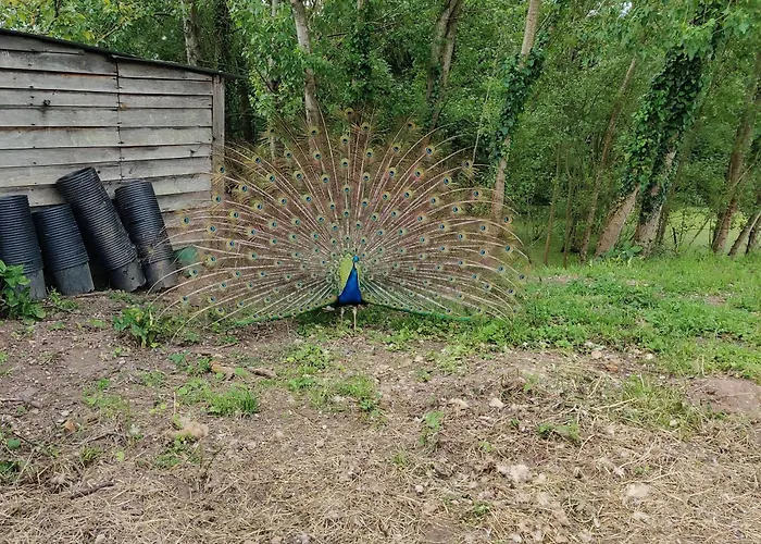 Σαλέ Tipi Cheyenne Des Monteaux Vivy