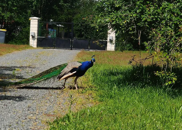 Tipi Cheyenne Des Monteaux Σαλέ Vivy