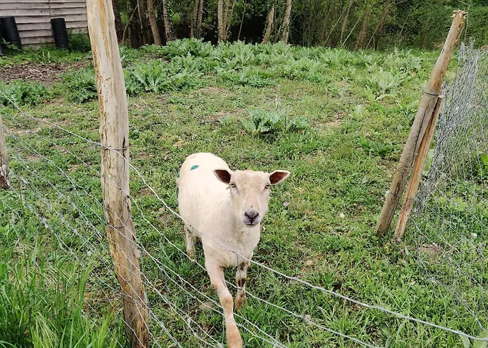 Tipi Cheyenne Des Monteaux Vivy