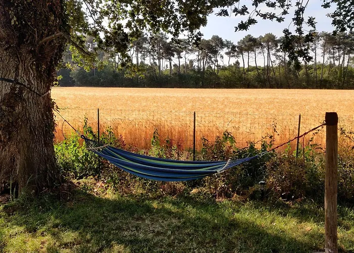 Tipi Cheyenne Des Monteaux *